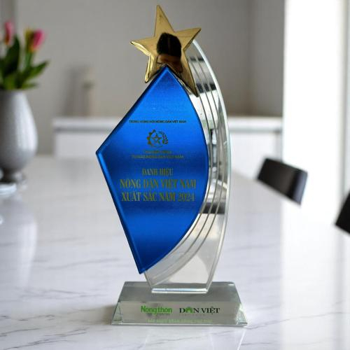 Cúp & Kỷ Niệm Chương